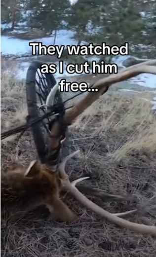 guess we are even #wholesome #animals_part2