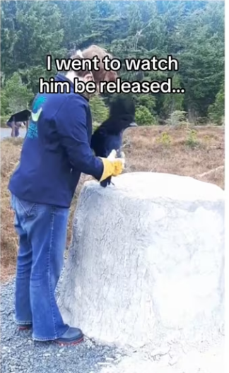 Now they get babysitting #wholesome #animals_part2