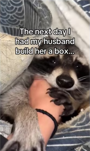 She now has friend home! #wholesome #animals_part2