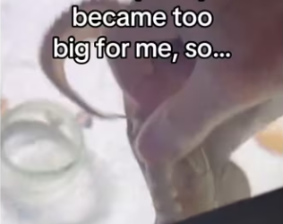 She left me her babies #wholesome #animals_part2