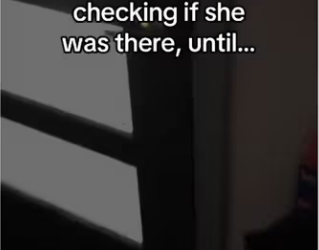 She sensed her friend passing #cat #wholesome #deer #animals_part2