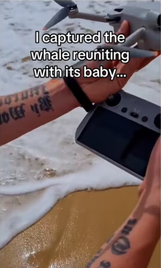 She thanked mom baby end #wholesome #animals_part2