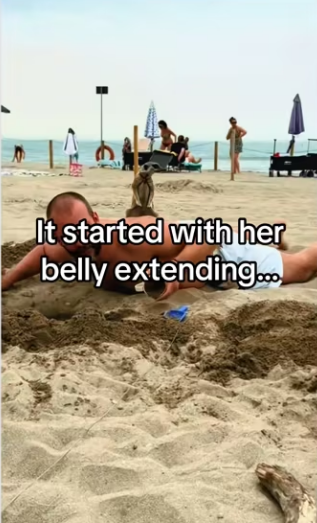 Who wants one #wholesome #animals_part2