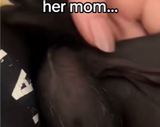 Saving baby bat #wholesome #animals_part2