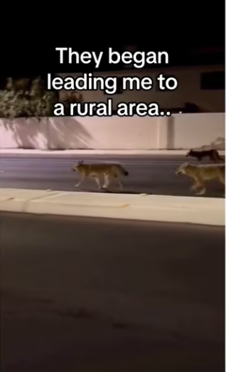 Unlikely friends save day #aniamls #wholesome_part2