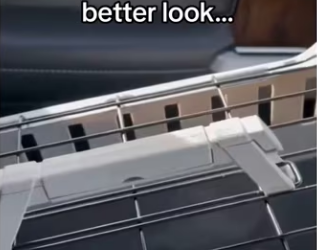 She chose his yard #wholesome #animals_part2