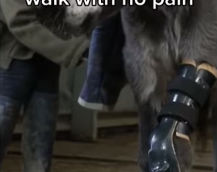 We saved each other #wholesome #wholesome_part2