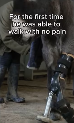 We saved each other #wholesome #wholesome_part2