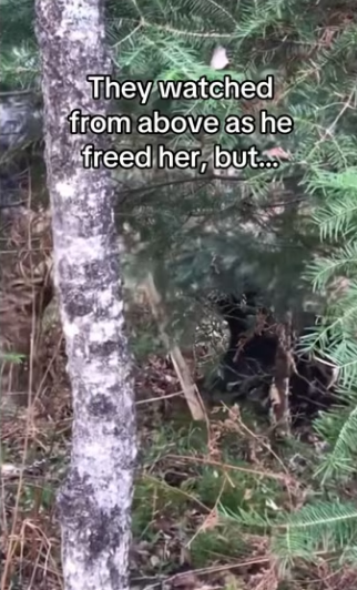 totally would #wholesome #bear (1)_part2