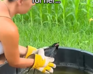 Wait it #wholesome #animals (1)_part2