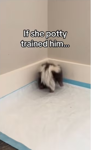 He just wanted someone like him.. #wholesome #animals_part2