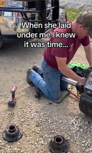 saved racoon #wholesome #animals (1)_part2