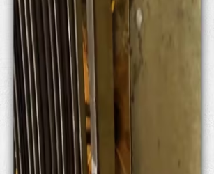 Rescue dying kitten in heavy rain_part2