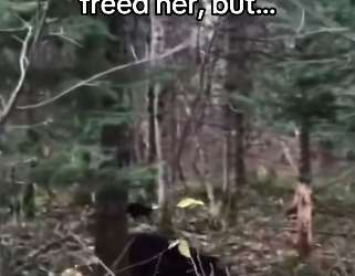 I totally would ! #wholesome #bear _part2