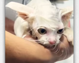 Everyone left it like but chose to stop help it_part2