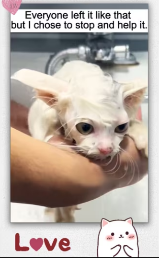 Everyone left it like but chose to stop help it_part2