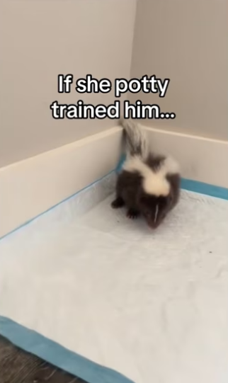 He just wanted someone like him.. #wholesome #animals _part2