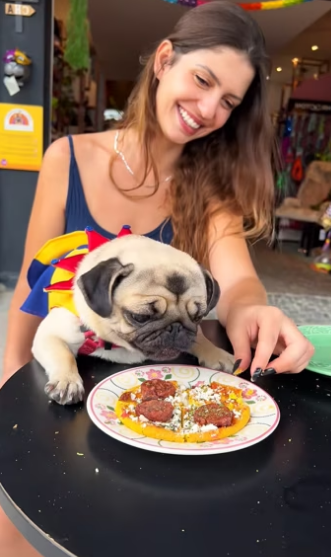 A stray puppy ​​strayed onto the highway. It was discovered and rescu…