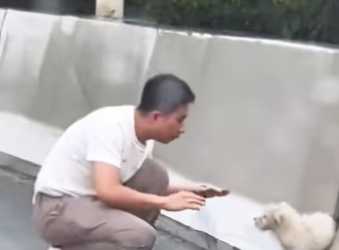 Poor puppy ❤️❤️❤️❤️❤️❤️❤️#rescue #rescuedog #rescueanimals #rescuepup…