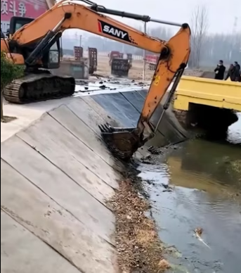 Rescue a baby dog . #rescue #rescueanimals #dog #animals #fyp