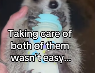 Am grandpa #wholesome #animals_part2