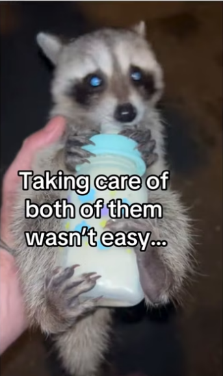 Am grandpa #wholesome #animals_part2