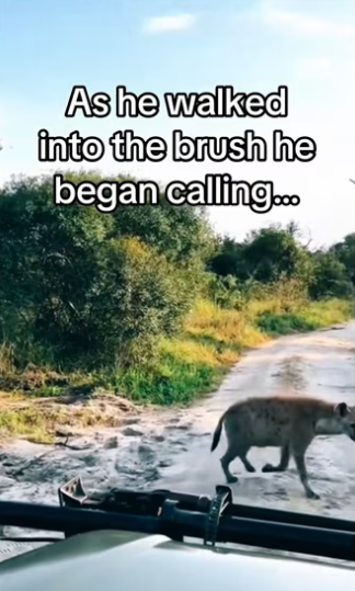 brother ever #wholesome #animals #family_part2