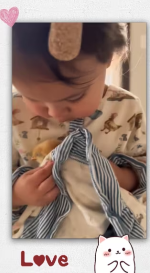 Rescue newborn chick about to die of illness then _part2