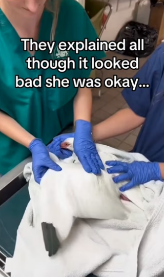 save bird #wholesome #animals _part2