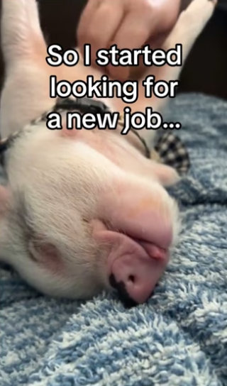 lost my job but got my family back #wholesome #animals_part2