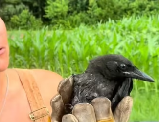 Wait it #wholesome #animals_part2