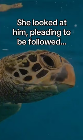 She knew he would help #wholesome #animals_part2