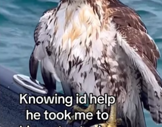 Now see them daily #wholesome #animals_part2