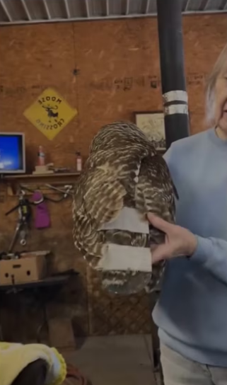 Wait to see it go circle #wholesome #animals_part2