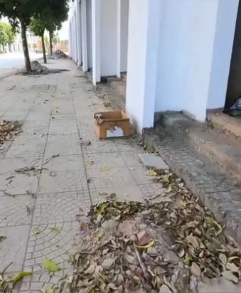 Rescue a puppy. #rescue #rescueanimals #animals #rescuepuppy #fyp #pu…