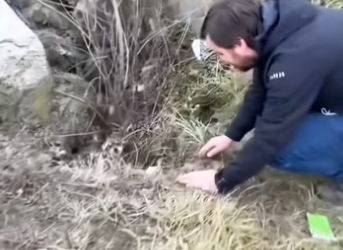 The man and poor puppy. #rescue #rescueanimals #animals #rescuepuppy …