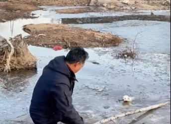 Cute puppy ������❤️❤️❤️❤️❤️❤️❤️❤️❤️#rescue #rescueanimals #animals #a…