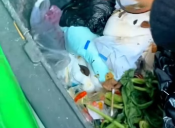 I wonder if other dogs are as lucky. #rescue #rescuedog #rescuepuppy…