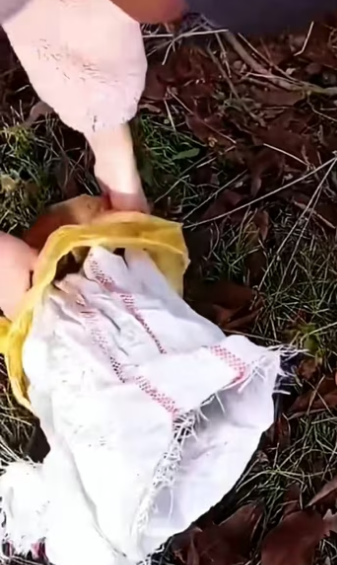 A kind girl rescues a dog thrown away in a sack and then…… #rescu…