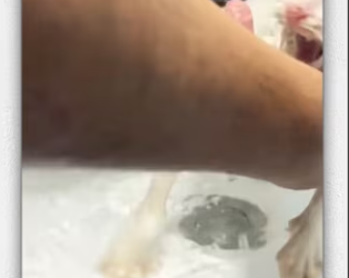 Everyone left it like but chose to stop help it_part2