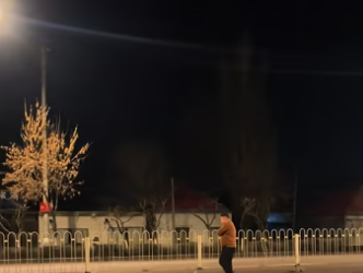 I spotted a cat hiding in the middle of the road. I stopped the car a…