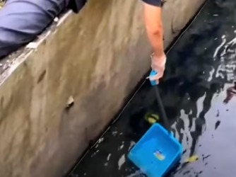 Kind man rescues a dog that was drifting in the water. #rescue #rescu…