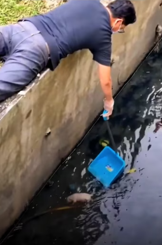 Kind man rescues a dog that was drifting in the water. #rescue #rescu…