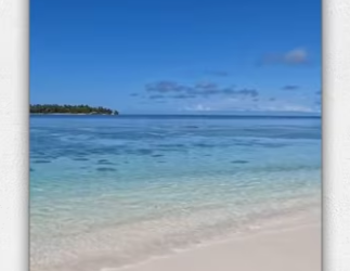 Boy his family rescued baby sea turtle was strande_part2