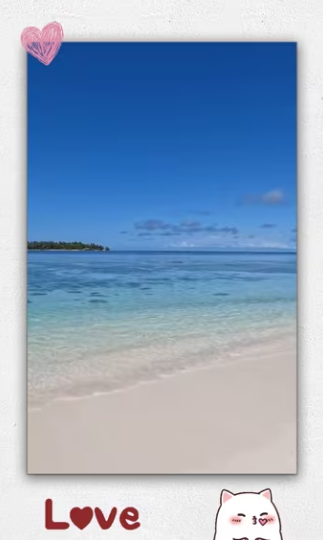 Boy his family rescued baby sea turtle was strande_part2