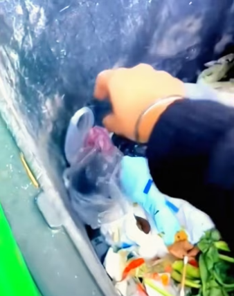 found an abandoned puppy in trash can took it home, the…