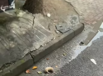 found newborn puppy downstairs. It was so pitiful decided