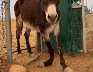 We saved each other wholesome wholesome