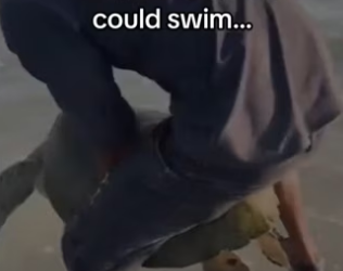 I sent out my drone to make sure he could swim…