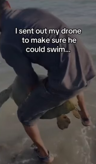 I sent out my drone to make sure he could swim…